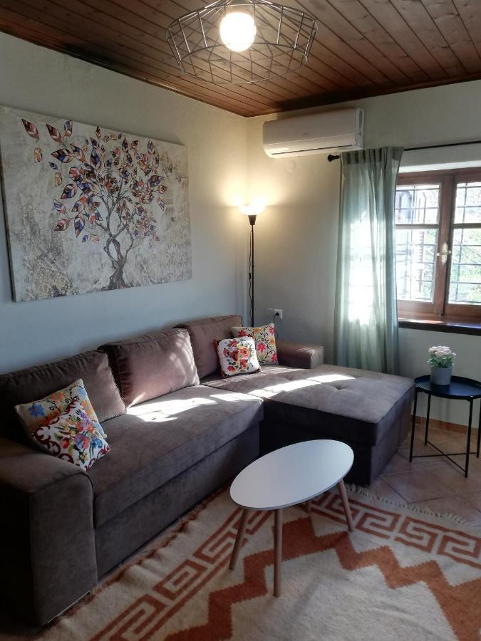 Endless View Country House Makrinitsa Luaran gambar